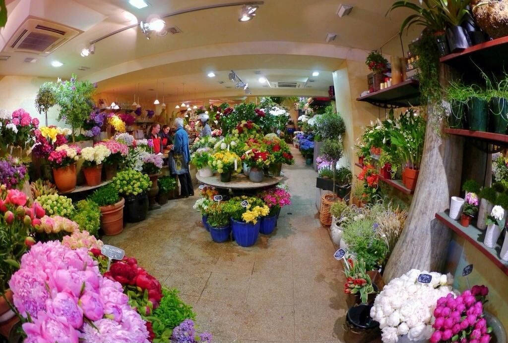 花店爱游戏最新官网_爱游戏（中国）
效果图