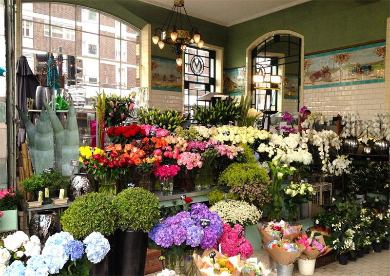 花店爱游戏最新官网_爱游戏（中国）
效果图